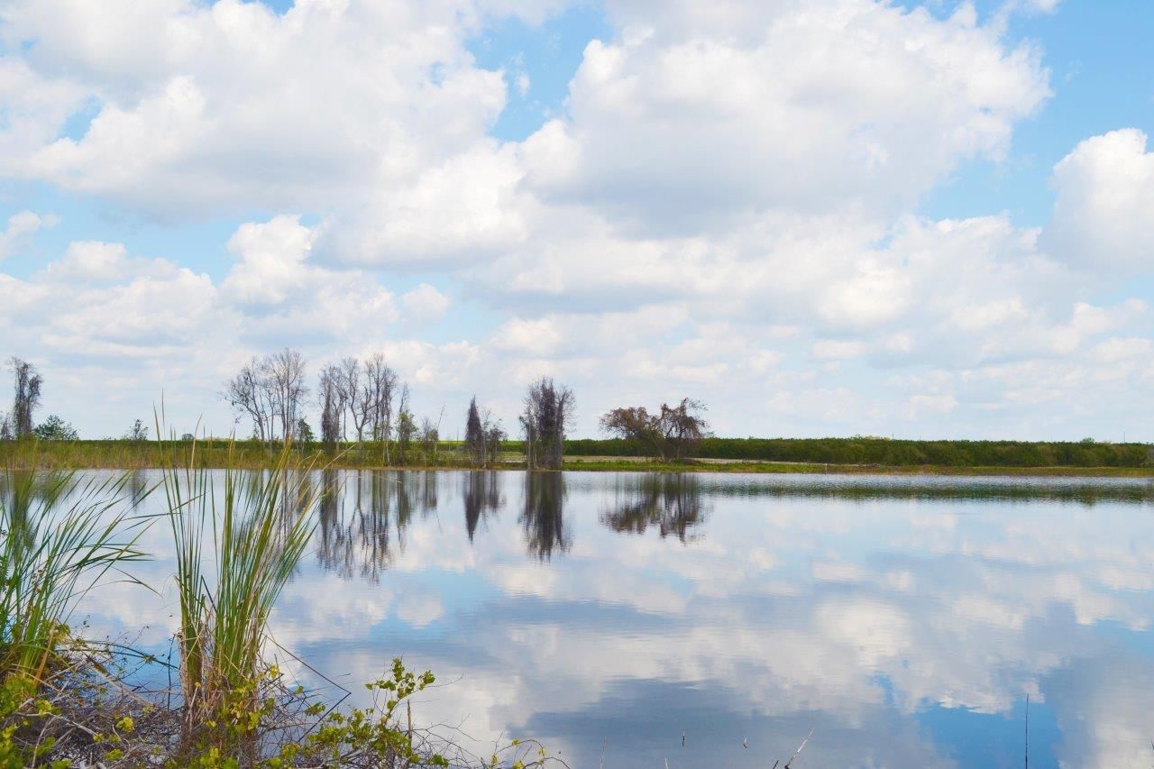 Camp Mack Road: Camp Mack Road, Lake Wales, FL 33898